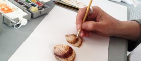 Técnicas en Ilustración Científica