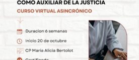 Desempeño del Contador Público como auxiliar de la justicia